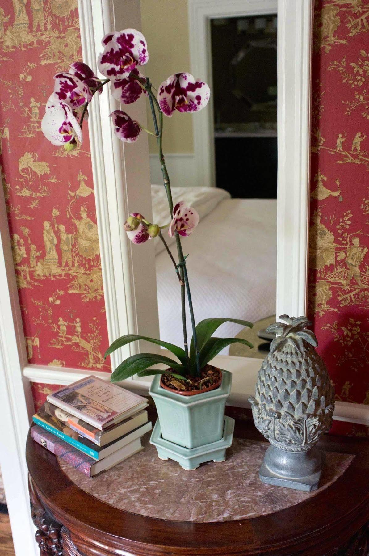 Embrace Calistoga Bed & Breakfast ภายนอก รูปภาพ